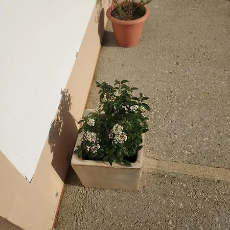 Casa Muino Dos Frades