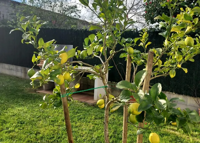 Casa Muino Dos Frades Holiday home Lourenza