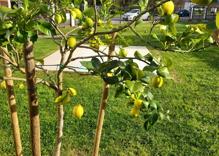 Casa Muino Dos Frades *