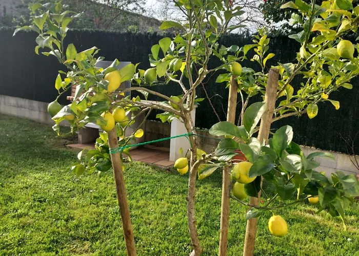 Casa Muino Dos Frades Lourenza