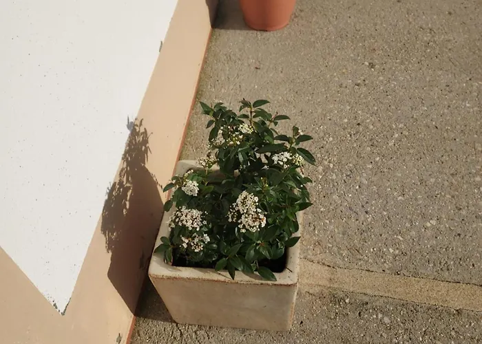Casa Muino Dos Frades