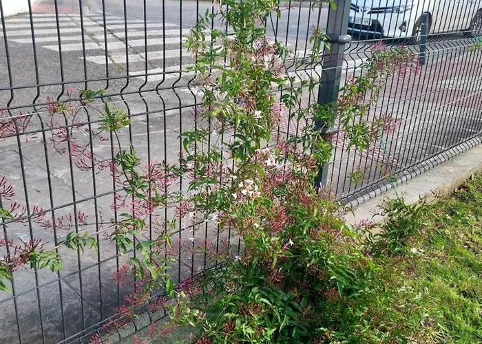 Casa Muino Dos Frades